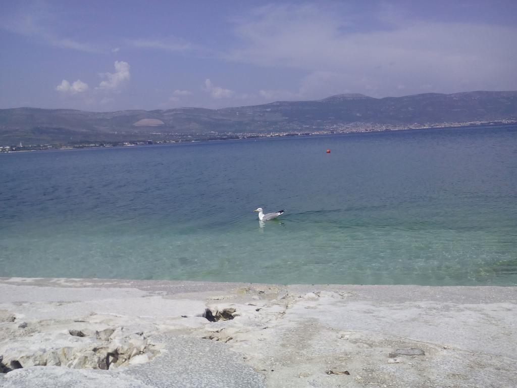 Apartment Aida Trogir Zewnętrze zdjęcie